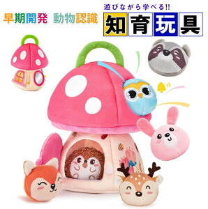 yVoIzeb\[ xr[  Ԃ  6`12 ʂ KK m炨 J wP oߋ \tgAj}nEX _̓ NNy