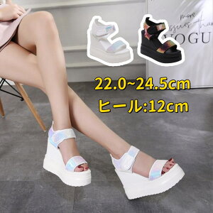 I[vgD X|[cT_ fB[X EFbW\[ 12Z`  EH[LO wlC Vv T}[T_ ItBXT_ nCq[ XpR[ ʋC ₷  J