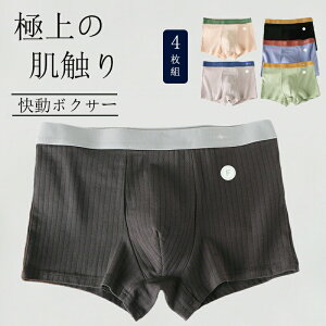 {NT[pc Y RۖhL z Xgb` 4Zbg pc   j {NT[u[t tBbg   傫TCY L-4XL CgO[ O[ u[ O[