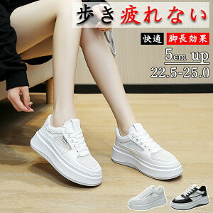  EH[LOV[Y Xj[J[ fB[X Xj[J[ C XP[gV[Y ꂢ  ₷ 5Z` Xj[J[ ʊw C d ɂ Ȃ gL