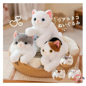 猫のぬいぐるみ ねこ リアルな猫の抱き枕 ねこ ネコ 子供 誕生日 母の日 父の日 敬老の日 プレゼント ギフト