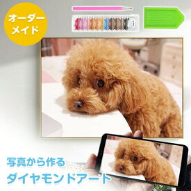 【楽天ランキング1位受賞】ダイヤモンドアート 写真 DIY ビーズ アート キット 初心者 ダイヤモンドアートキット 絵画 刺繍キット 初心者セット ビーズアートキット セット インテリア 飾り 手芸 芸術品 手作り ペン ツール オーダーメイド