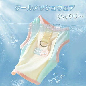 Iׂ5F@p N[xXg MǑ΍ Ђ xXg ĕ N[ pxXg  ̕ t ėp Ђ ⊴N[ N[