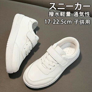 ňl^LbYV[Y ^C ʊwC qC C LbY WjA Xj[J[ ʊw jOV[Y qǂ ̎q j̎q WjA y RۖhL ₷ ^ ʊw n