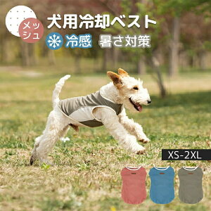 pN[xXg ⊴ pxXg ЂxXg pĕ pR[g ʋC MǑ΍ Ăh oU ^ ^