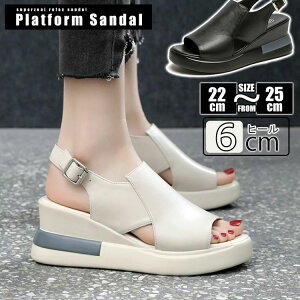 X|[cT_  fB[X T_ I[vgD EFbWT_ EFbW\[ Xj[J[ T_ r L y ʋC Xgbv v PU Vv JWA 