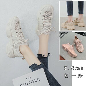 Xj[J[ fB[X ^C 21cm-26.5cm _bhXj[J[ V[Y EH[LO jO JWA ʊw ʋ  y w  傫TCY