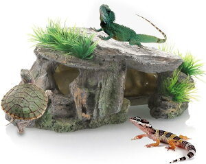 ঒ VF^[ A  B サ T wp Ҕp nxێ vbg  Mы ܂  ~K qQ gJQ wrȂ ޗp A