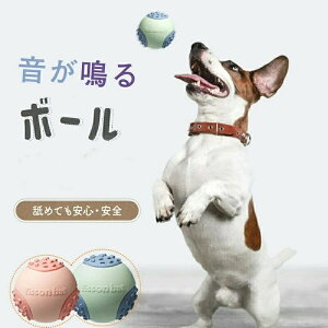 yz^ ^   ^ ϋv XgX {[ m  邨  {[ L 