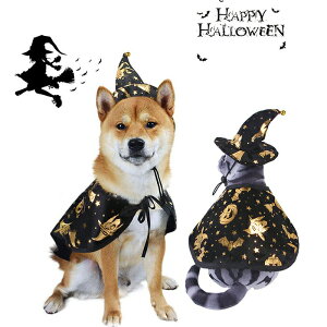 ybg̕ L lR  RX`[ L  ʋC _炩 RXvߑ ʔ ʐ^ Be  ȒP ւ ϐgObY ybgpi nEB[