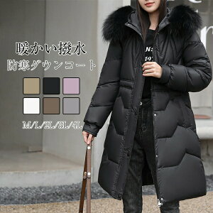 _ER[g R[g fB[X ~  _EWPbg OR[g t[ht t@[t |Pbgt t@[ O\ AE^[ Wp[ ȃR[g OJ hXg  