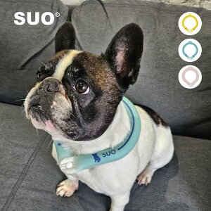 ySUO K㗝Xz 擾 SUO for dogs28 ICE COOL RING ({^t) S / M / L / LL ybgp p Lp TCY XI 28x ACX N[O N[ og AR lbNp ACX | l