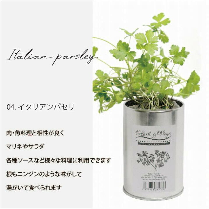 楽天市場 栽培キット ハーブ ベジs バジル ハーブ 栽培キット キッチンガーデン イタリアンパセリ コリアンダー パクチー ペパーミント ミント 小さな栽培キット ハーブ ベジタブル ガーデニング 種 種子 家庭菜園 ミニガーデン 花と暮らしと贈りものten Ten