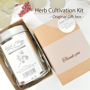 Herb Cultivation Kit - Original Gift box -y oW n[u ͔|Lbg Lb`K[f C^ApZ RA_[ ~g ȍ͔|Lbg n[u K[fjO  ƒ؉ ~jK[f i