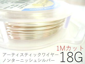 【定価の半額】AWノンターニッシュシルバー18ゲージ（1.02mm）/1Mカット/ アーティスティックワイヤー【練習用に！難有B級品】