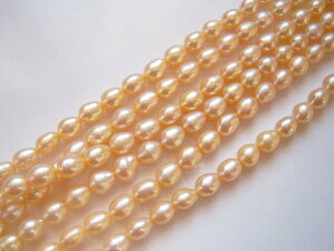 yWp[@(CXEIW)zTCYE5`5.5mm^1011/2yVo[ĂĂzANZXLO7ʁ