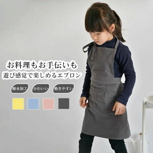 Gv LbY ̎q O  Rbg H y 킢 i` |Pbgt t ₷ p K[