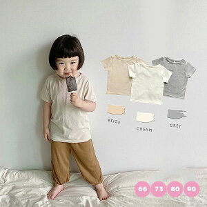 xr[  Ci[ V  Ԃ   ێ gbvX  100% Rbg  ʋC z  Lk _炩