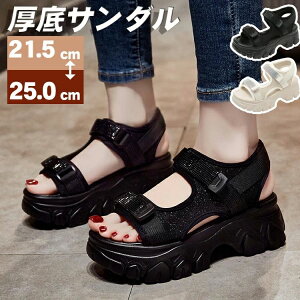 X|[cT_  fB[X 6cm T_ RtH[g T_ r[`T_ y fB[X r[`T_