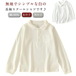 uEX  |Vc |Pbg XN[Vc ݕt ۋ  uEX 100% XN[EGA tH[}  L