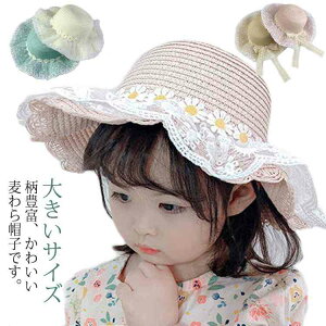 3 悯   UVnbg Xq 傫TCY nbg ΍L X ܂肽 Xg[nbg LbY Xq Xq