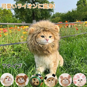  RX`[ EȒP t RXvߑ LXq ˂̂Ԃ ^ N} JG CI 蕨 ybgpXq