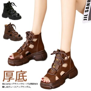 {v u[cT_  C obNt@Xi[ fB[X ҂ݏグu[c  t  I[vgD V[Y T_ T}