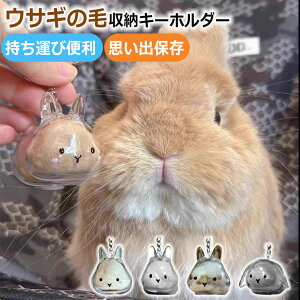  ETM ю[ gѕ֗ ybgЂ ETM̖ ETM̖уL[z_[ тۊǂ{g  g L[z