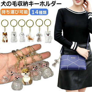 AObY  g   gѕ֗ 킢 тۊǂ{g ю[ ̃L[z_[  ybg 