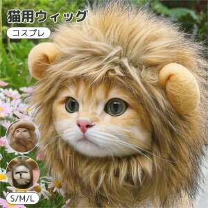 RXv RX`[ ybg 킢 ʐ^ N ڂ RX`[  蕨   Ȃ肫 ϐg CI