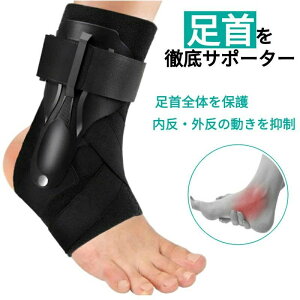 x  Œ pveN^[ ؖ     x߉ ALXF  ɂ  T|[^[