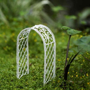 IuWF h[nEX tBMA C[A[g ~j`A ~jQ[g ~jA[`  zCgK[fjO u