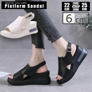 X|[cT_  I[vgD EFbWT_ EFbW\[ Xj[J[ T_ r L y