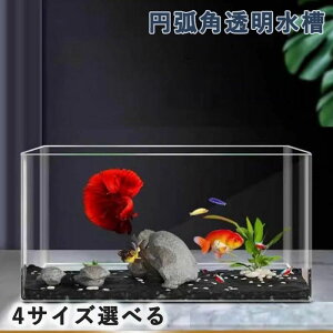  RpNg Vv ƒpgfB ANAE fXNgbv pԑ pې ~ʊp ȃAN