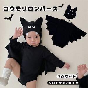 {fBX[c nEB RXvߑ xr[ 2_Zbg   ϑ RE p[X q 