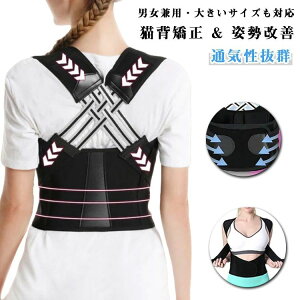 q Y w؋xg Lwxg fB[X ڗȂ pT|[^[  Ci[ 傫TCY eɂȂ