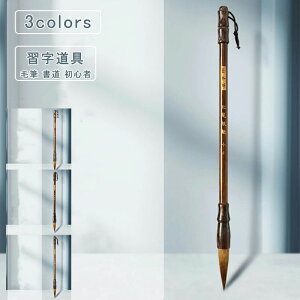 ѕM M T  s  M S K N G莆 ₷ w w Z  SҌ  d