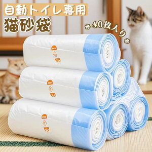 40 Lp p LgC ybg ݑ LgC gCpi gC pS~ lR 2[Zbg ˂ В