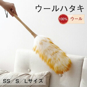 nfBCp[  nfB[Cp[ VRf100% Ђ VR ق r {vЂgp ͂