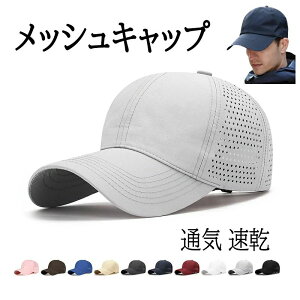 Xq ejX ނ oR Stڂ ʋC   y   ߉\ 58-63cm 傫TCY [ YLbv h