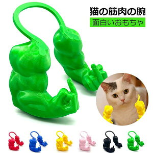 nE ap[eB[ ݂r ybg̏ ʔ nIȋȘr L̂߂̋r  ؓ L RXv ybg