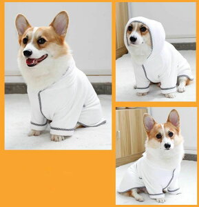 L M KpS L ^ C[u _炩^I ͂ ̐@ L  ΐF }CNt@Co[ z ybgp^I