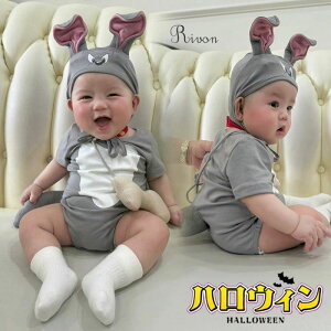  Xe[W NX}X Ԃ xr[ Mtg a v[g RX`[ RXv    LbY qp ߑ