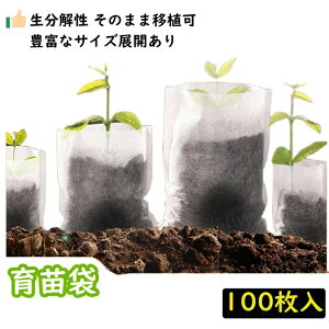 A A 琬obO |v^[ 琬obO c|bgobO   Aؑ cRei sDz 100 A c