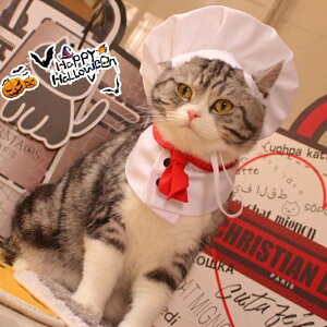 ybgRXv RXv L  Xq RX`[ ʔ  Lbv  RX`[ VFt ybg RXvߑ