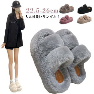 h ~ o    ₷  {A [V[Y ӂӂ t@[T_ fB[X