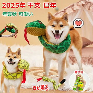 ʂ  N N x 2025N ybg 蕨 N ւ Lp p  ʂ    RXv