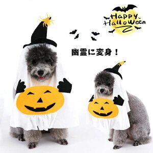 ybgR RXv L  Xq RX`[ ʔ 蕨   L  RX`[ H ybg RXvߑ