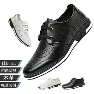 A d ʋ ʋC VY  _ C y y r C j C 2427cm    h RC amC vC  L 