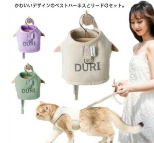 L Lp n[lX [ht ybg xXg  킢 ȒP U  o K EȒP lRpi ybgObY